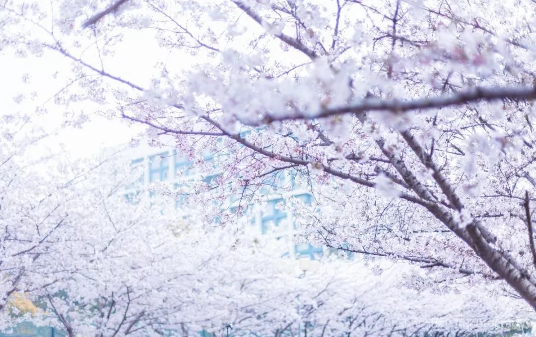 上海地铁18号线沿线有什么好玩的,上海地铁14号线沿途有什么好玩的