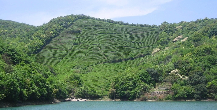 宁波江北十大最美古村,宁波十大秋天最美的地方