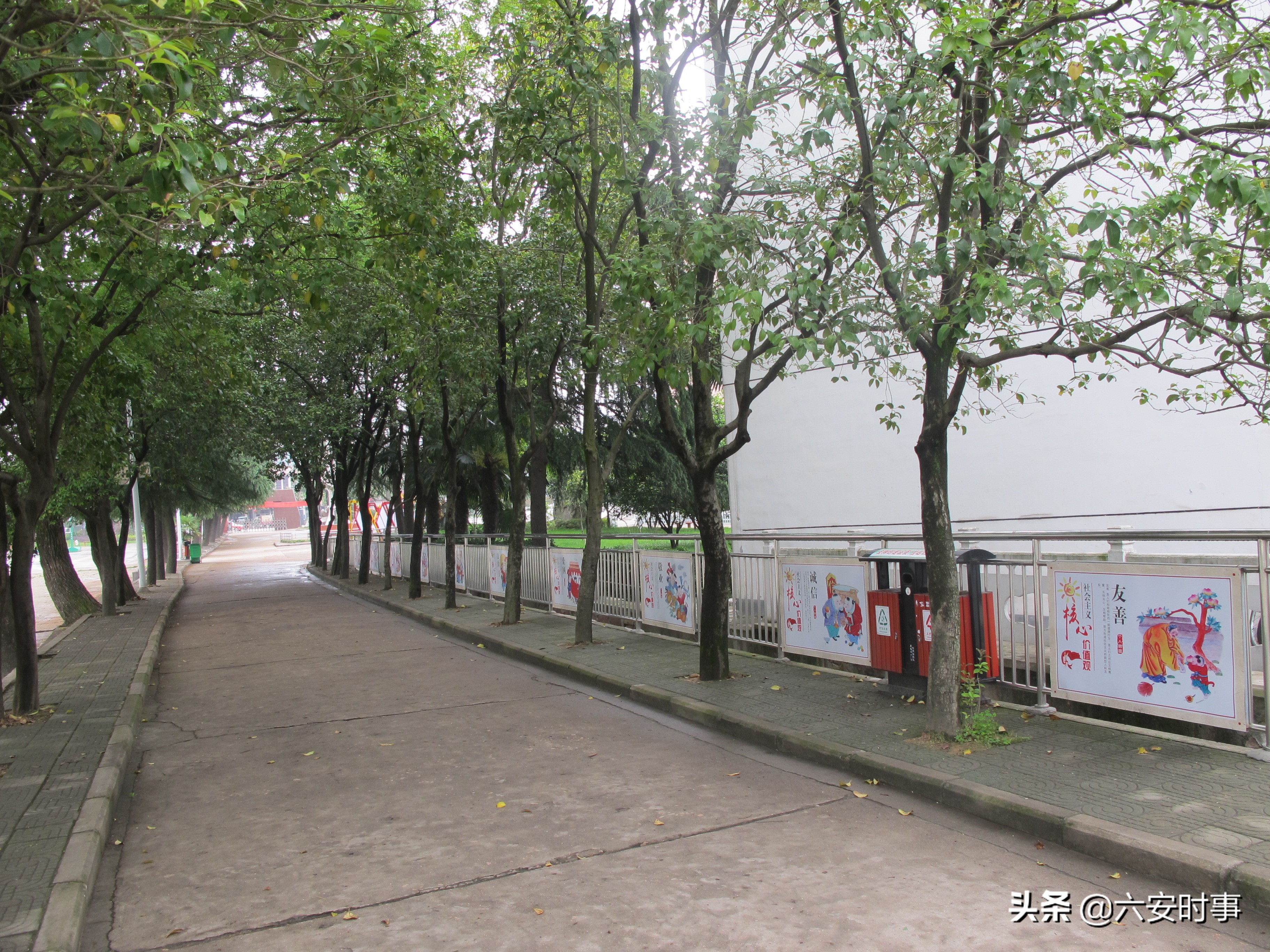 校园春意盎然,校园春意荡漾