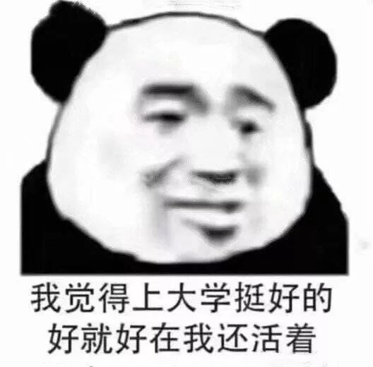 笔记本电脑如何选购合适,大学生笔记本电脑选购全攻略