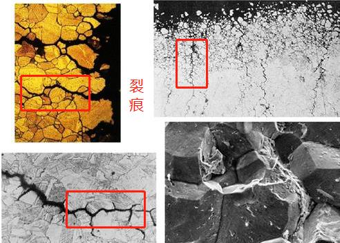 材料小博士：金属研究的葵花宝典，你了解金相分析吗？