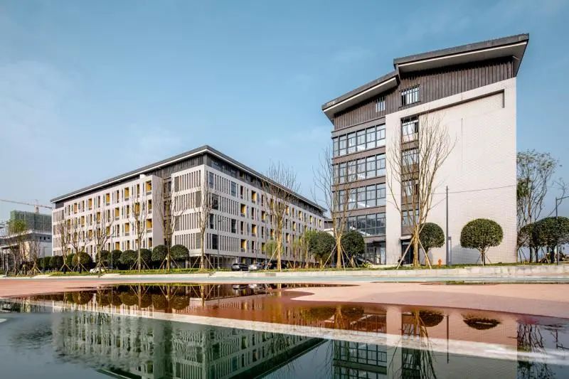 天府四中23摇号比例,成都三中摇中概率