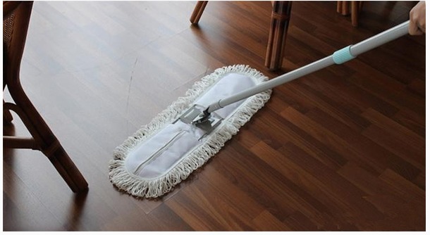 养猫怎么官宣,官宣养猫