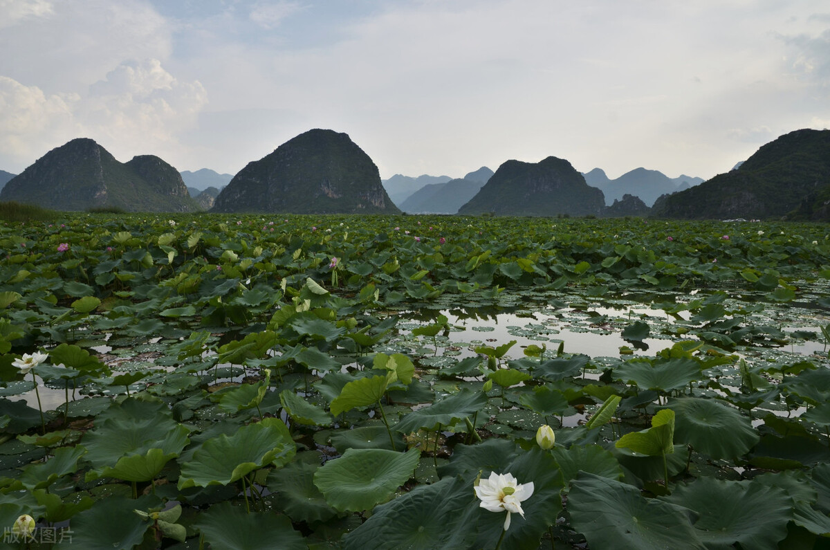 露营地看日出点推荐,藏在深山里的绝美露营点