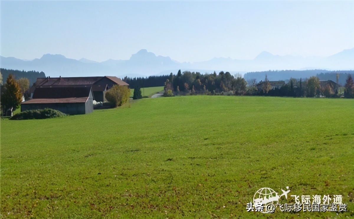 希腊移民感受视频,希腊移民的利与弊是什么