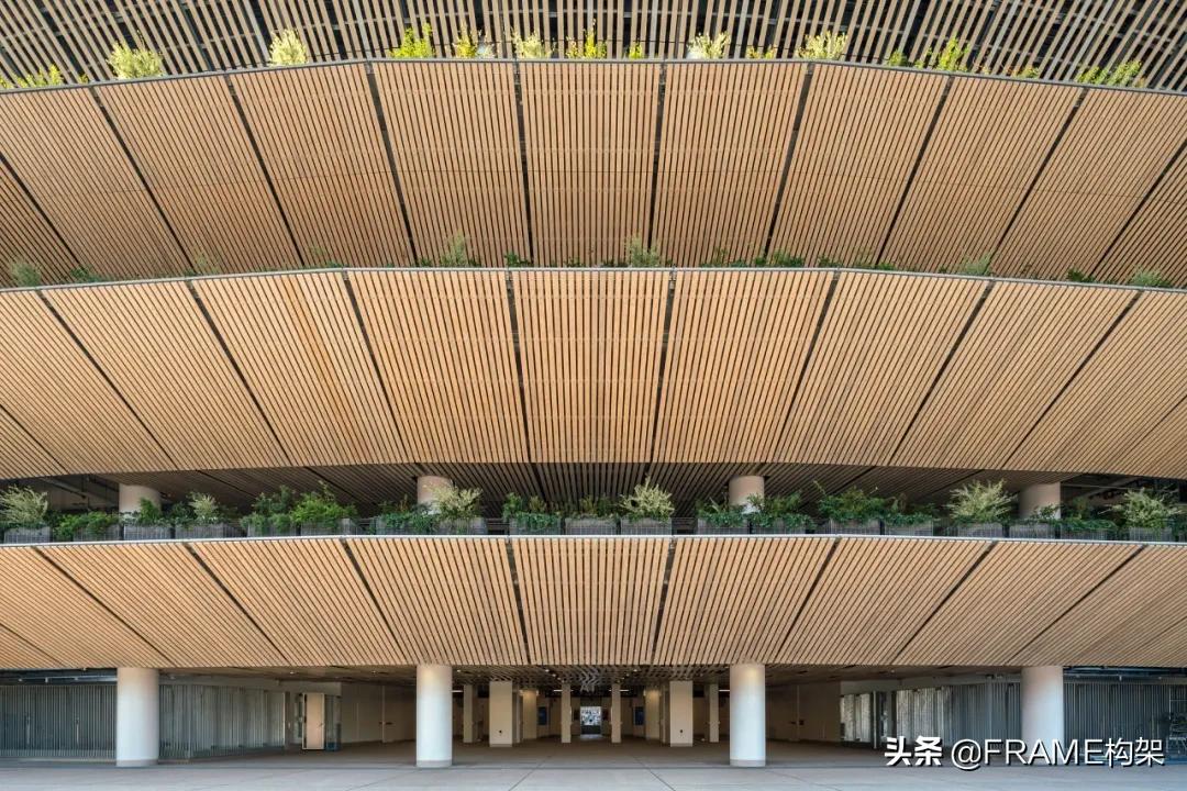 2020东京奥运会体育场设计,东京奥运会国立竞技场设计