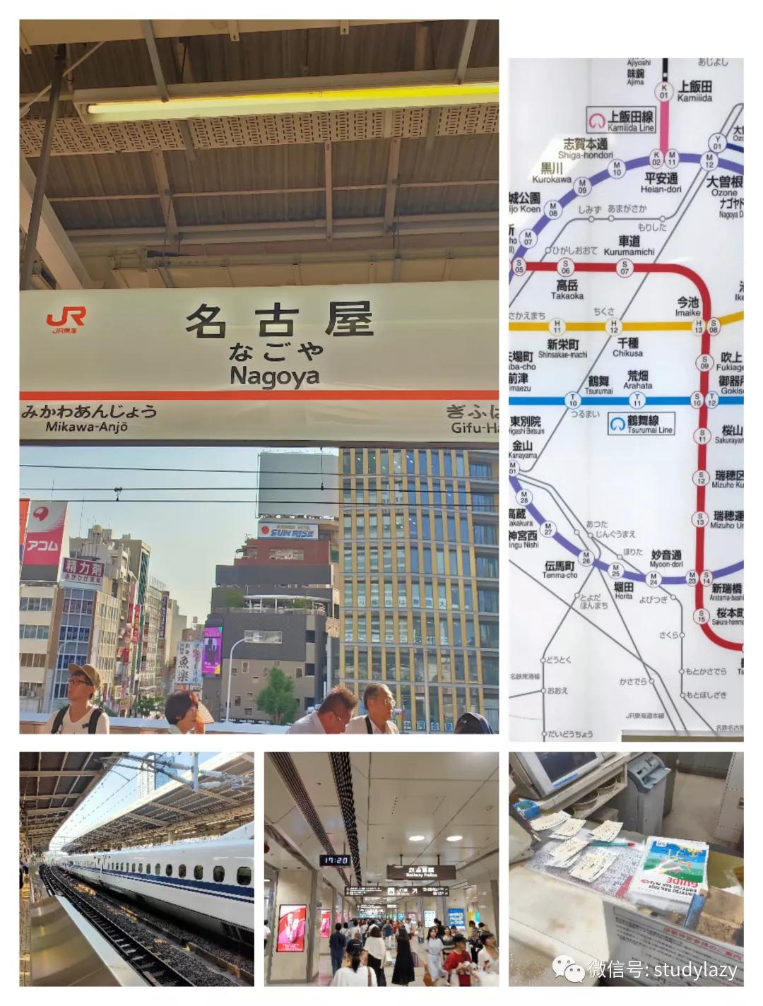 日本名古屋鲸,日本名古屋樱花