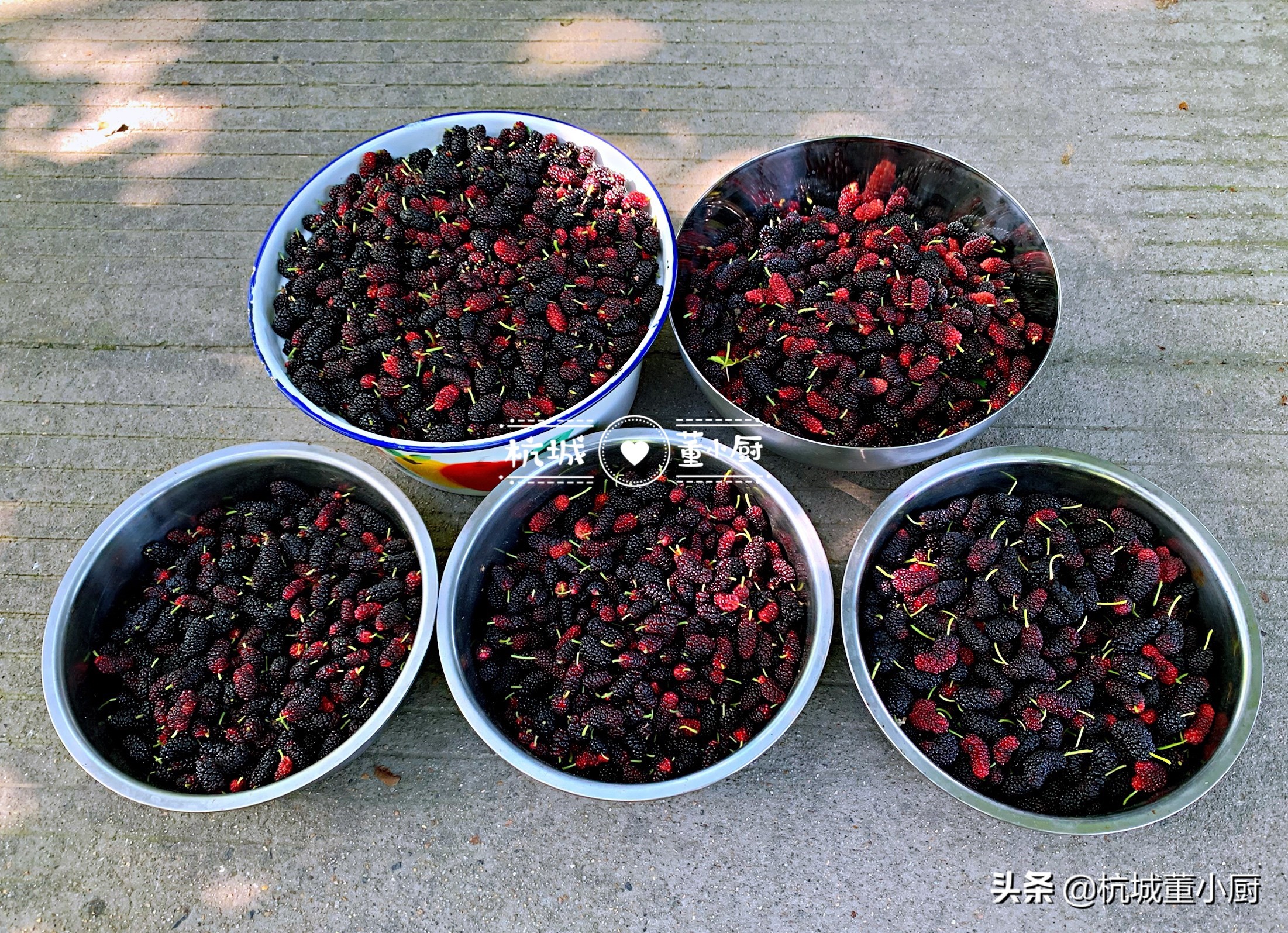 桑葚派蛋挞皮,美味的桑葚蛋挞