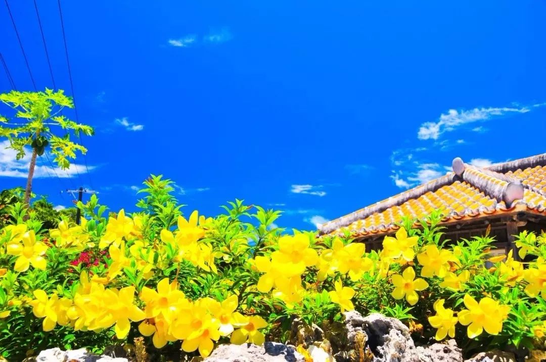 冲绳有啥,冲绳有没有啥