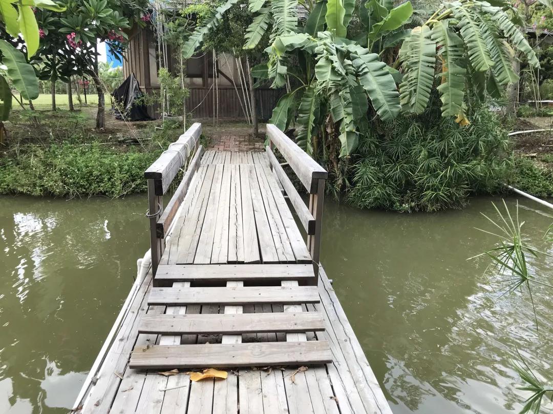 人气最旺的亲子农场,世外桃源亲子农场探店