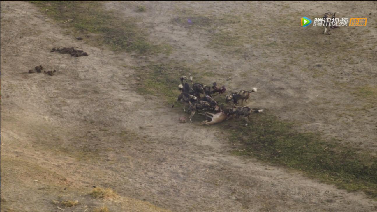 《王朝》详述杂*狼色**女儿居然对母亲六亲不认？