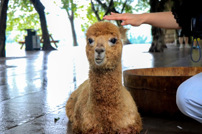 儿童亲子游怎么玩,室内亲子游必玩100例