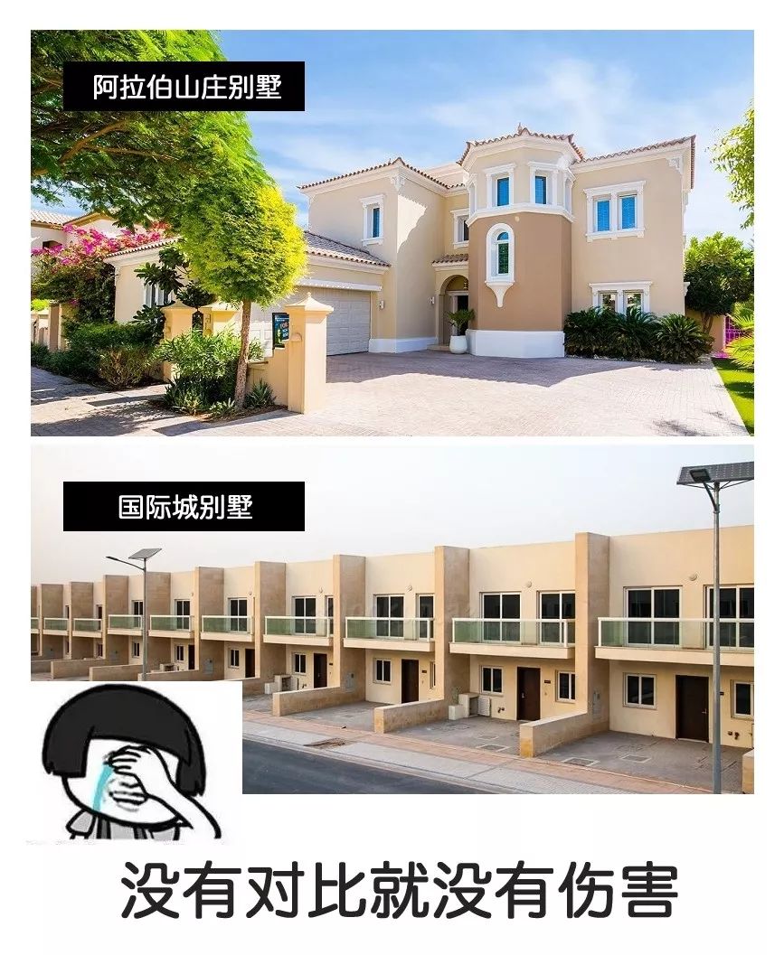 迪拜鄙视链   相当专业