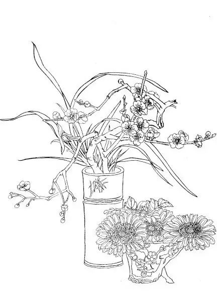 中国画菊花作品集锦,菊花花瓣白描的详细步骤