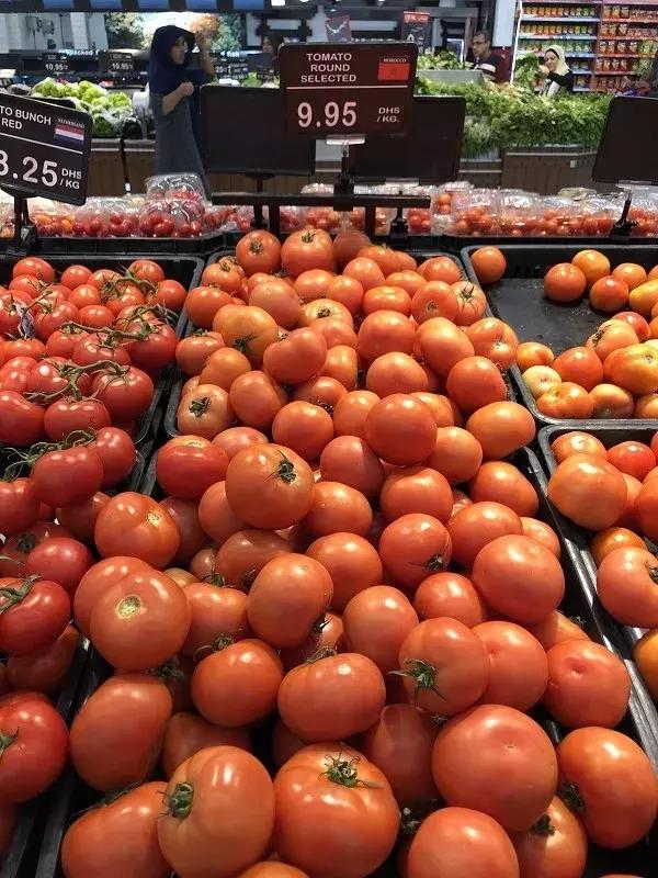 迪拜日常生活怎么样,在迪拜生活的感受