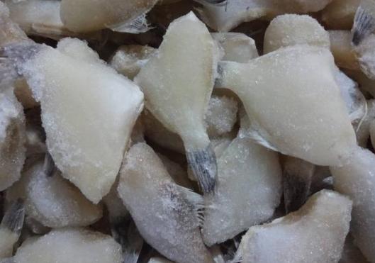 被误解的动物鱼,被误解的鱼