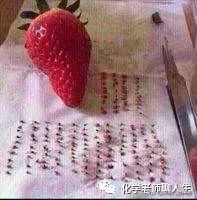 宅在家没意思,宅在家里适合做什么有趣的事