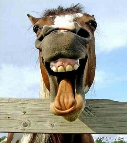 单身的人找对象,单身的人怎样才能主动找对象