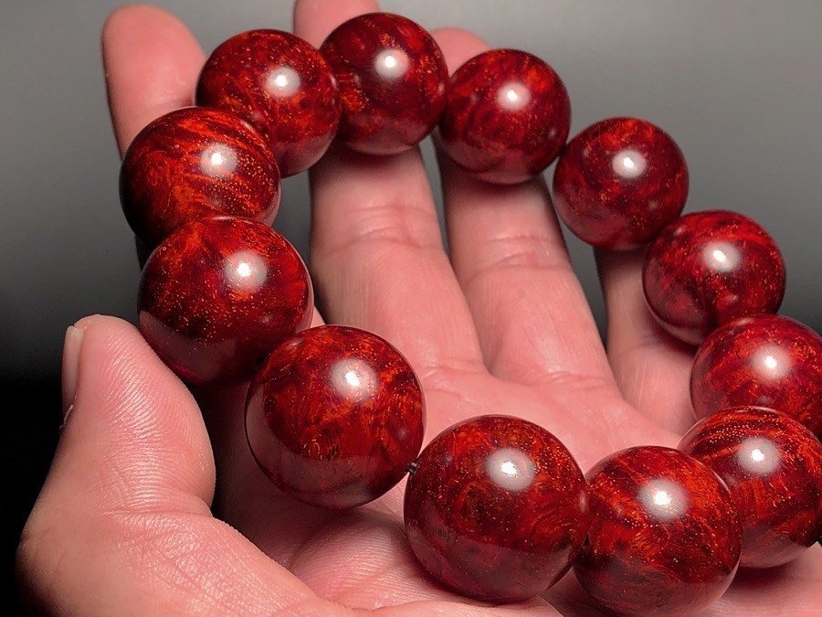 印度小叶紫檀森林视频,印度小叶紫檀秒懂百科