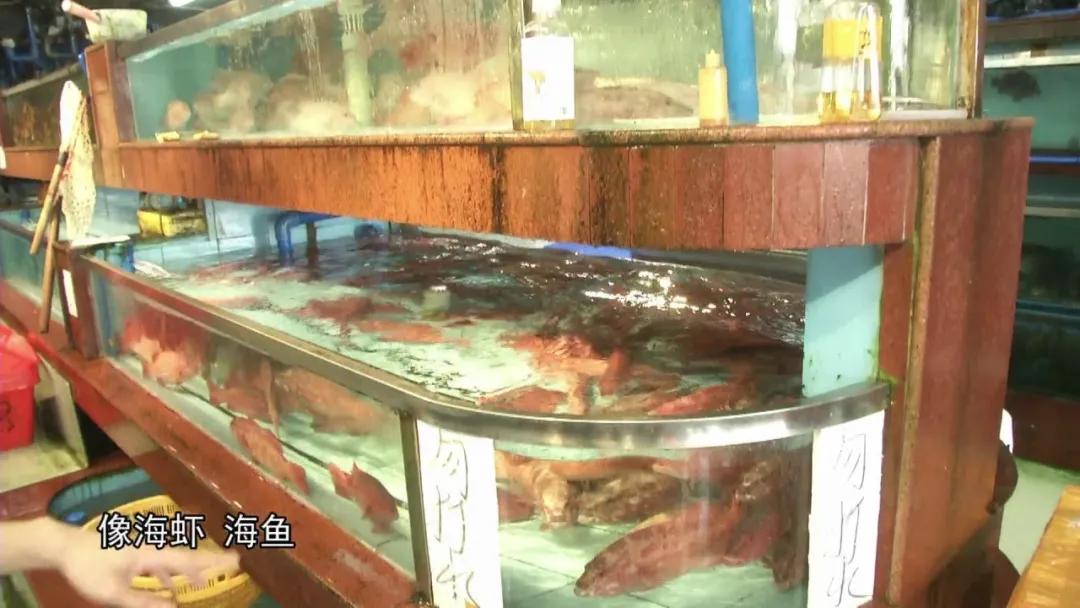 男子被钳子夹住致命部位,男子被咬一口全身器官衰竭