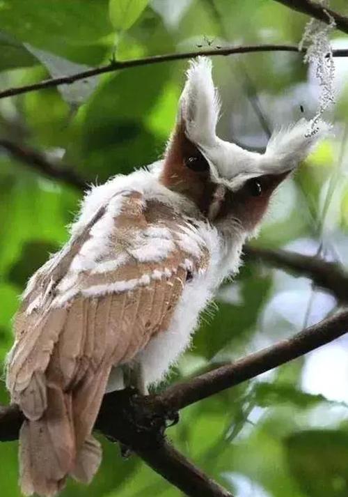 社会犹如一条船,社会就像一个丛林