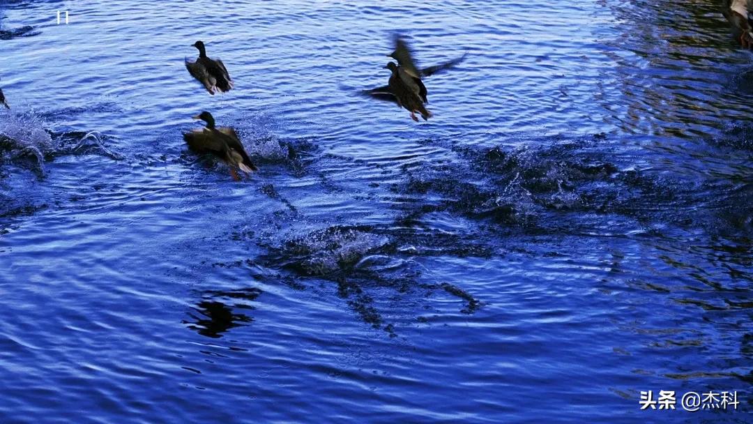 杰科g5800怎么进行音画分离,音画分离硬盘播放机