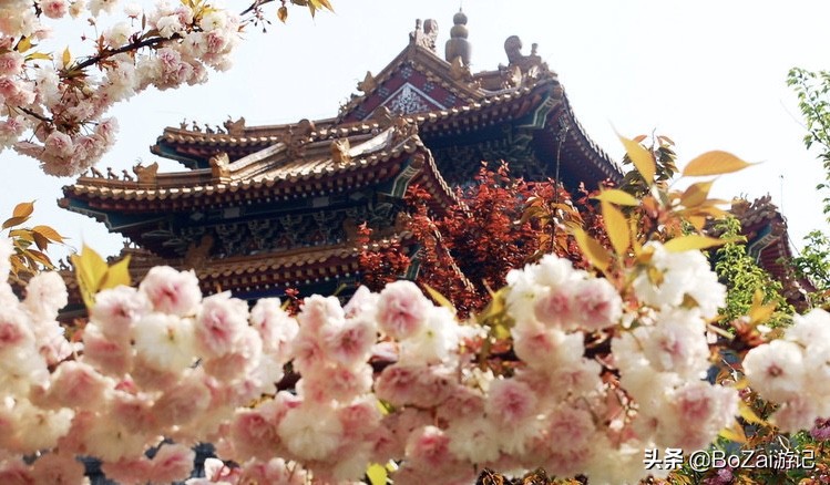 来云南大理旅游攻略必去景点,云南大理十大景点旅游攻略