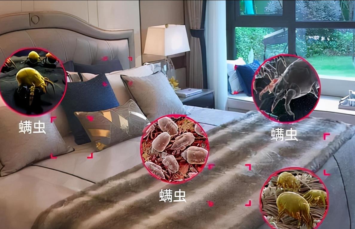 被子有异味家政阿姨教你去除方法,被子放久有异味怎么去除