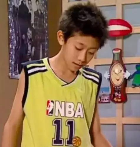 家有儿女刘星家到底是多有钱,家有儿女刘星家究竟多有钱