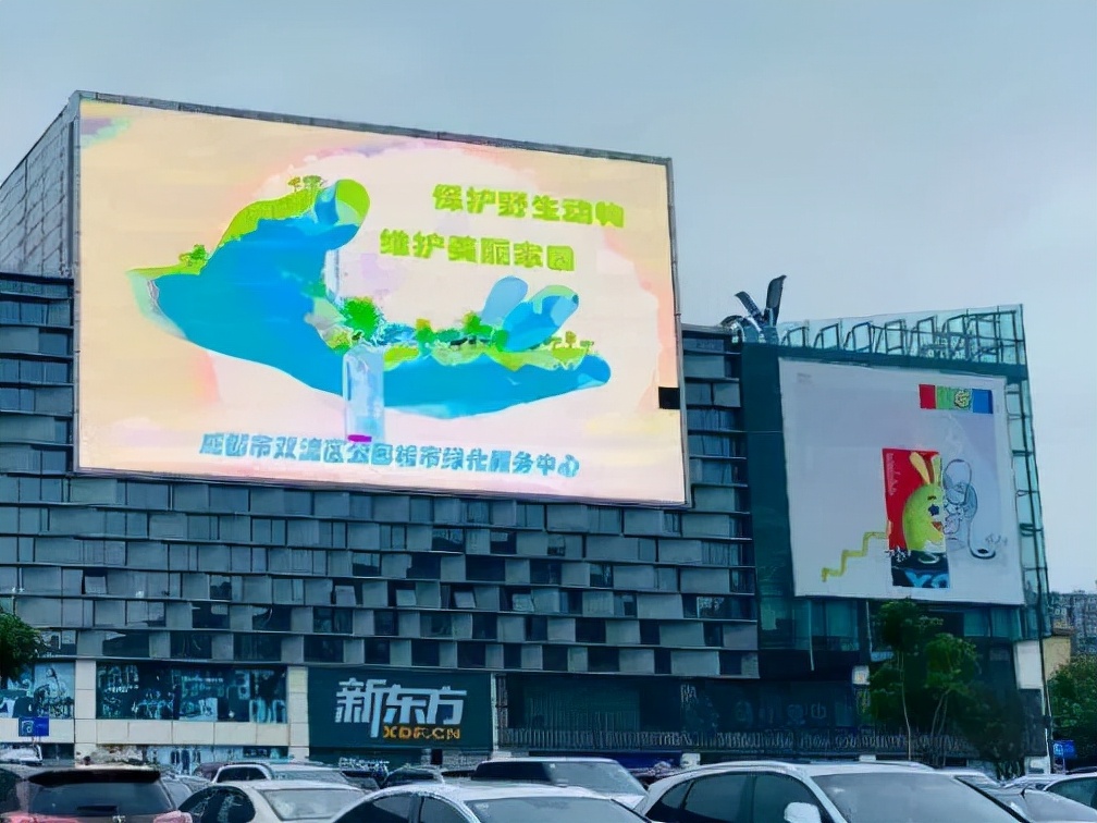 珍稀鸟类现身成都,在双流春游看花