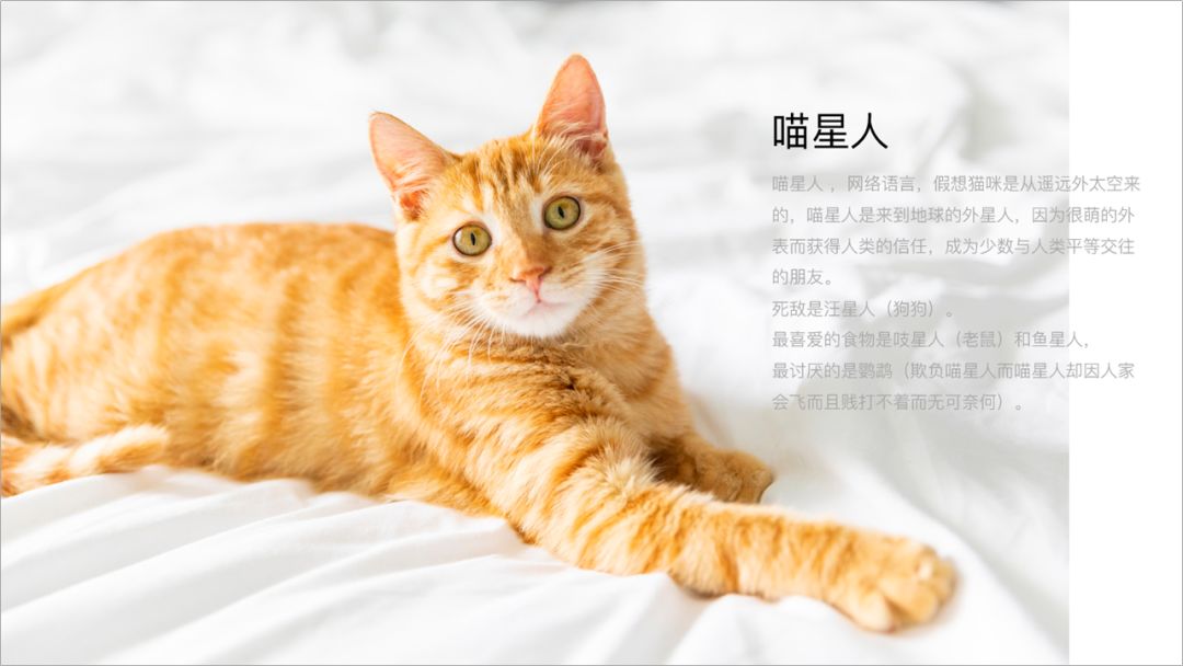 如何用ppt进行裁剪,ppt图片裁剪工具