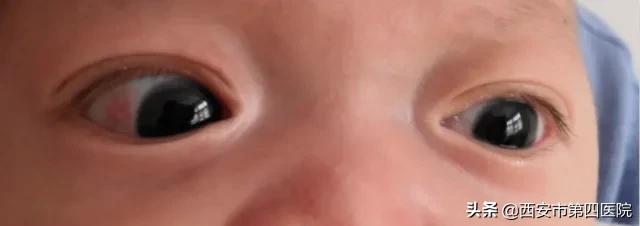 硬核技术试验成功了吗,硬核技术