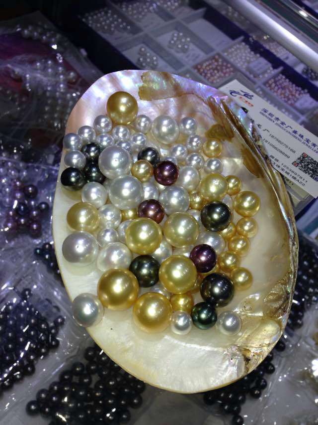 珍珠是什么蚌产的,淡水珍珠和海水珍珠的区别是什么