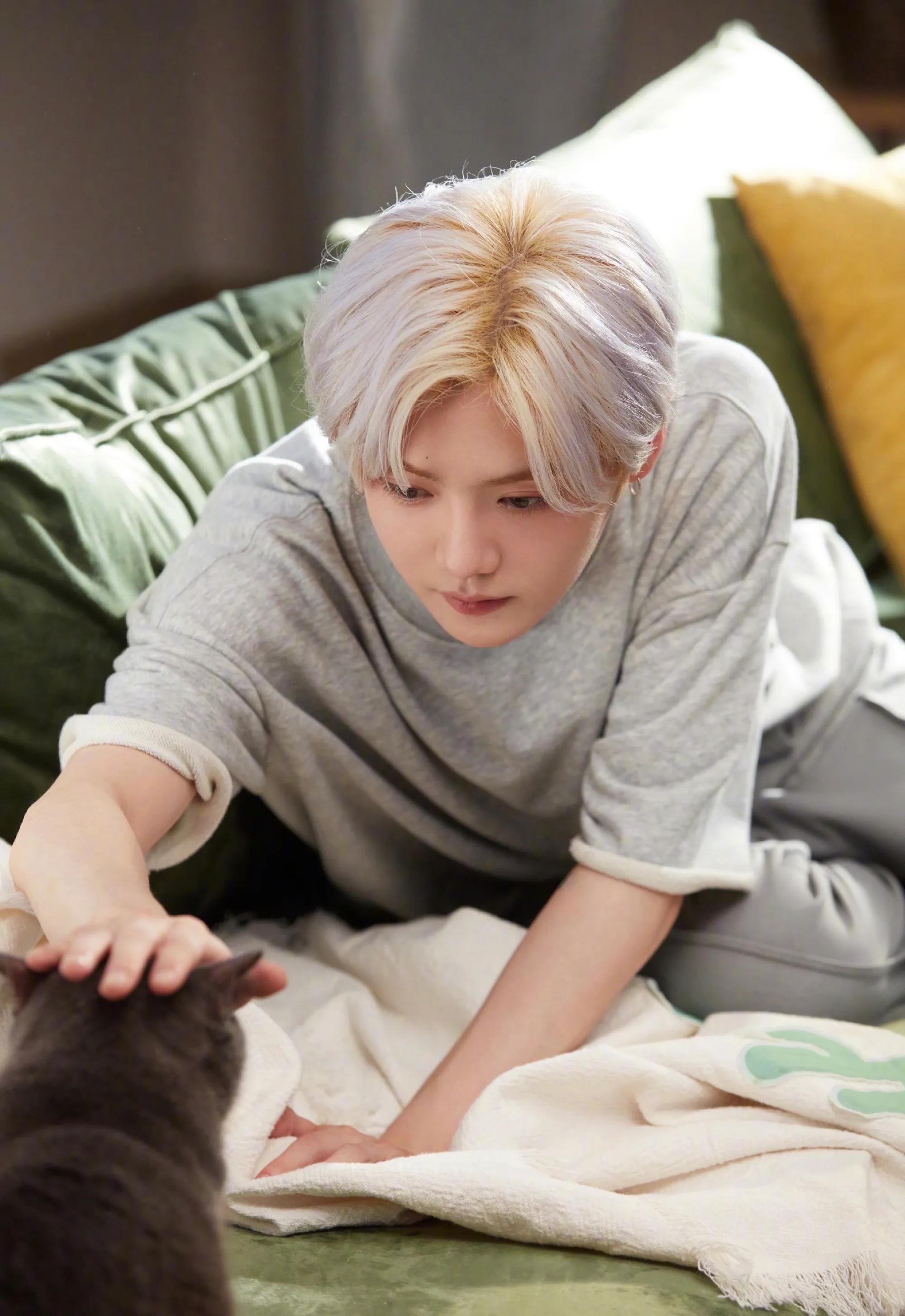 鹿晗高清壁纸,鹿晗壁纸手机