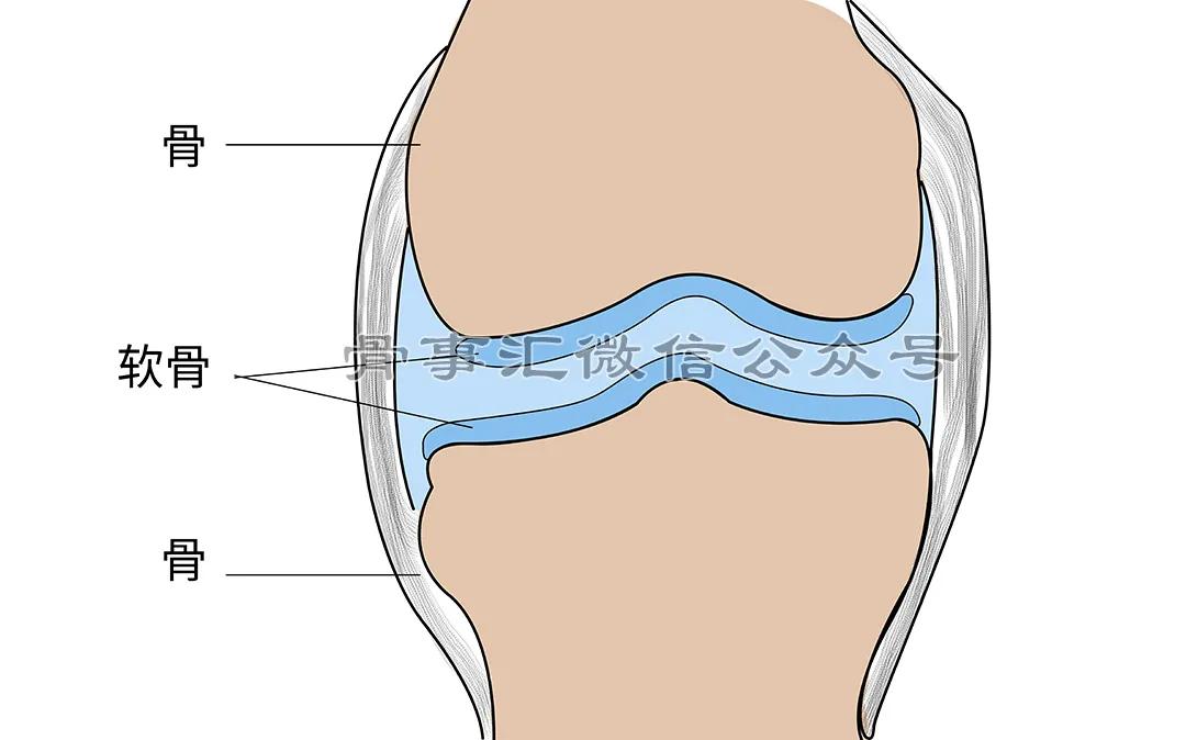 氨基葡萄糖对骨关节真有用吗,骨科氨糖类药物有哪些