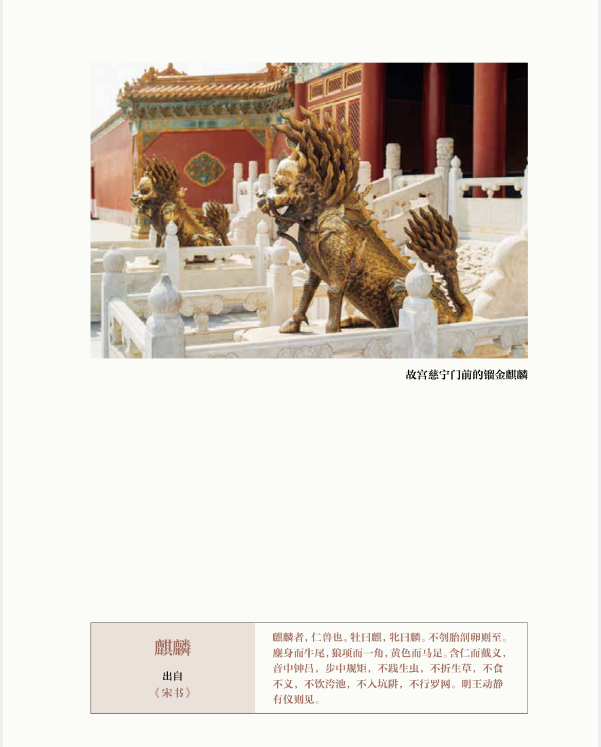 小学生发现11枚恐龙蛋化石,十岁男孩发现恐龙蛋化石