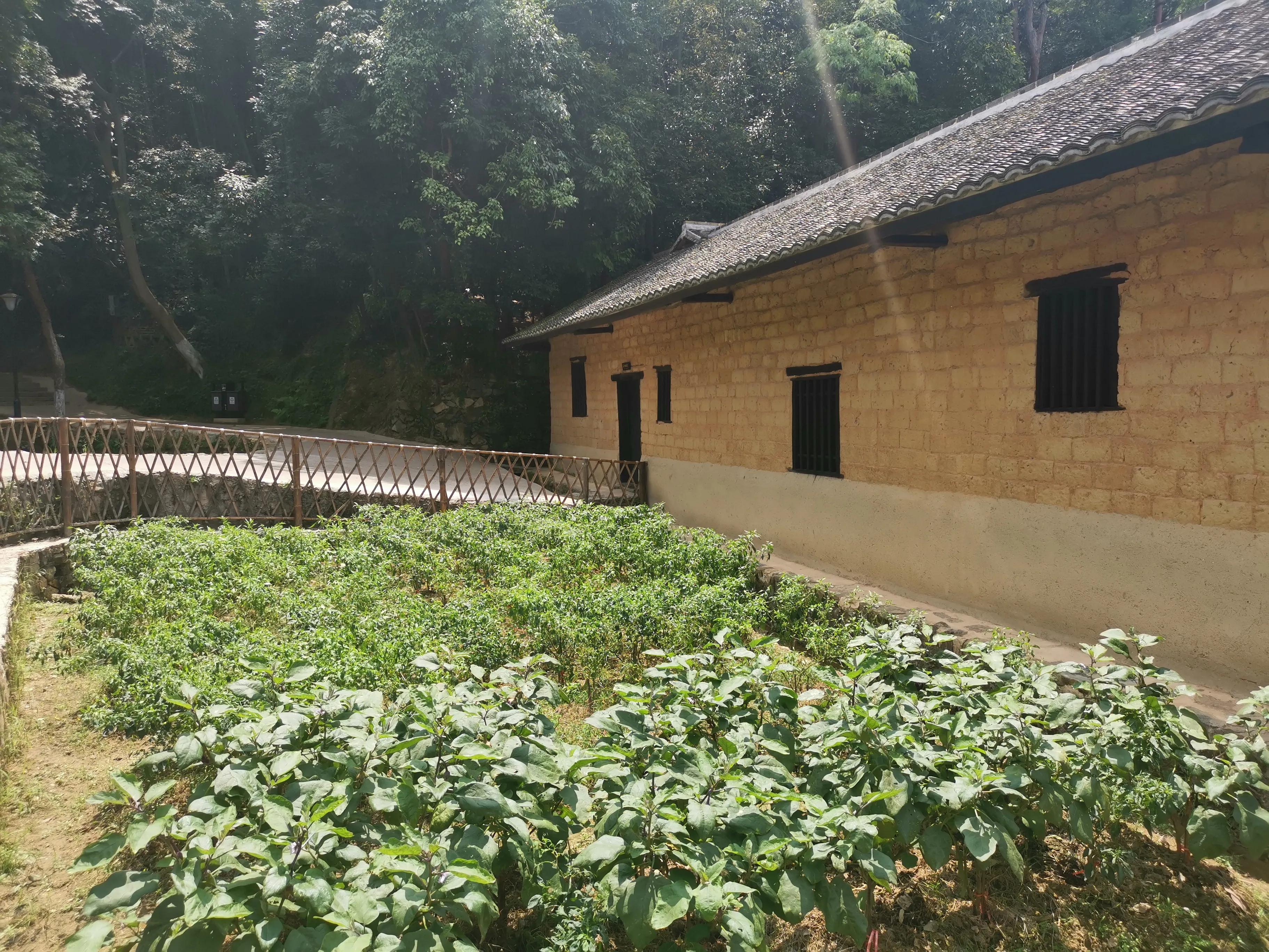 周末韶山一日游：参观了毛*东泽**故居、滴水洞、虎歇坪