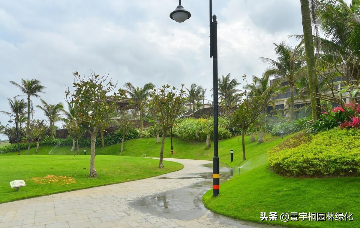 园林绿化养护精细化管理,园林绿化养护好的做法