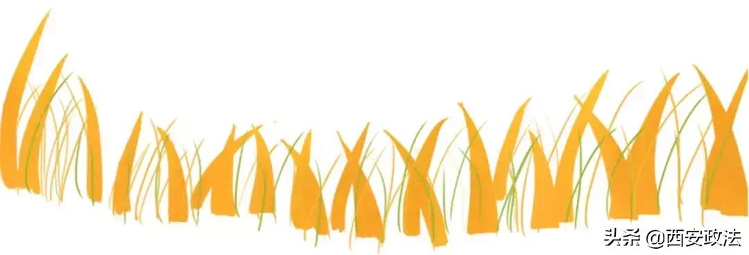 市场监督管理局近视防控,市场监督局查近视防控虚假宣传