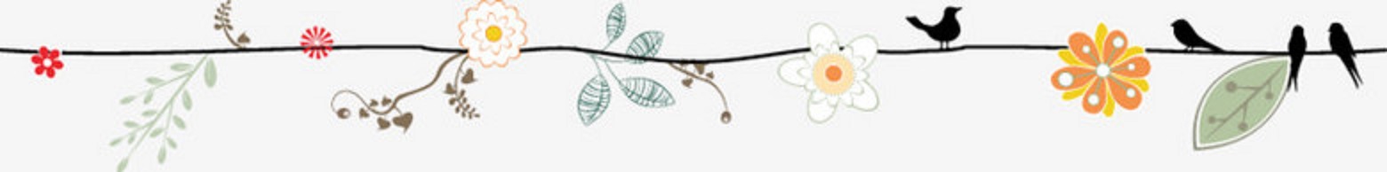 舌尖上的安全感悟,舌尖上的安全全册