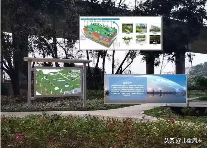 淘金山绿道晚上图片,淘金山绿道深圳罗湖网红