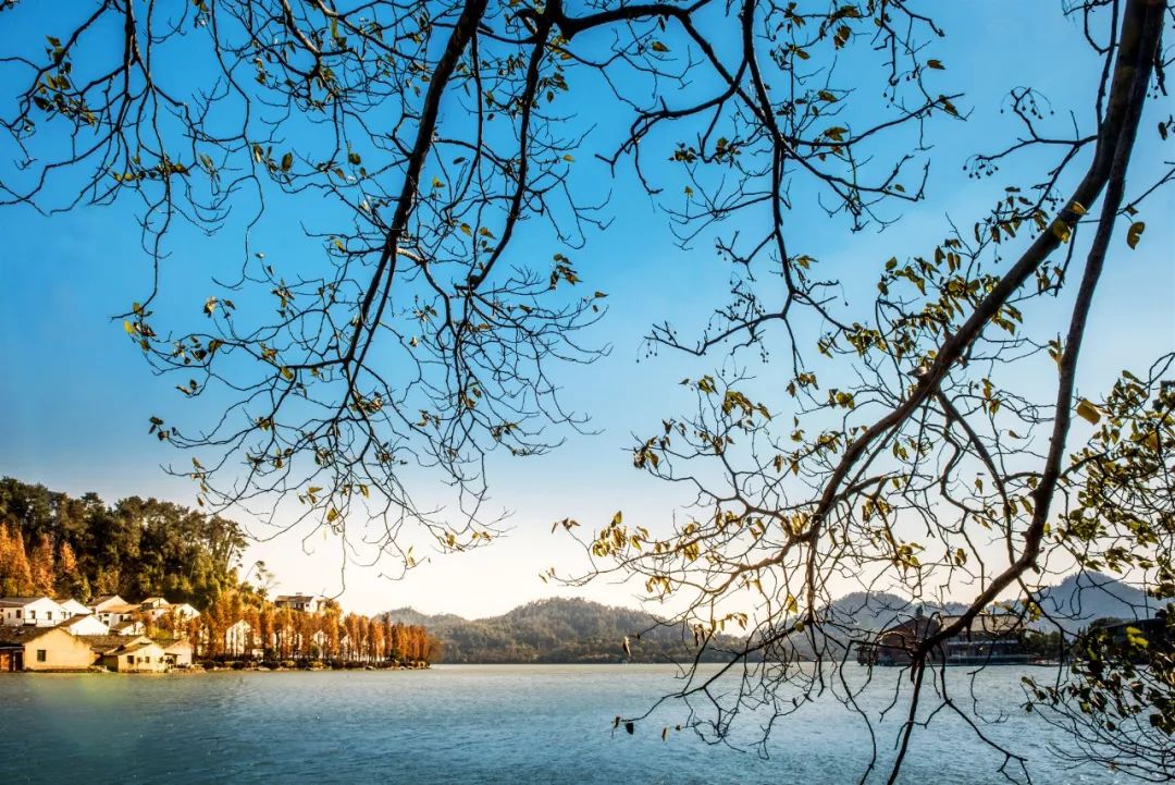 网红民宿都在这里快来看看,速来围观