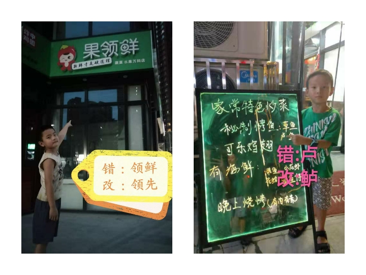 小学啄木鸟行动校外纠正错别字,啄木鸟找错别字实践活动