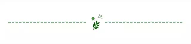 干皮夏天护肤水推荐,干皮用什么保湿水效果最好呢女士