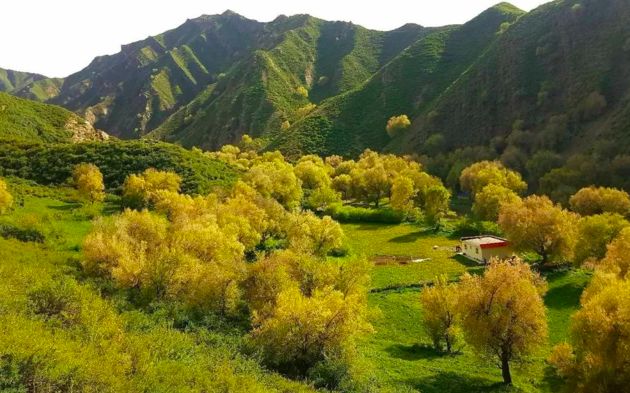 西北农村民宿,西北风格民宿