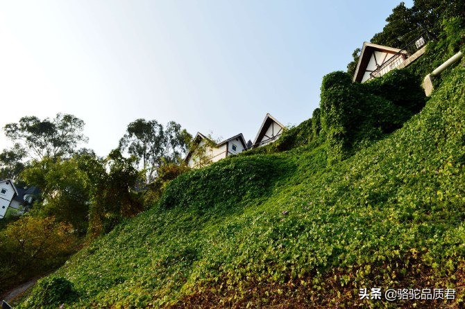 厦门海边之旅,厦门小众旅游体验