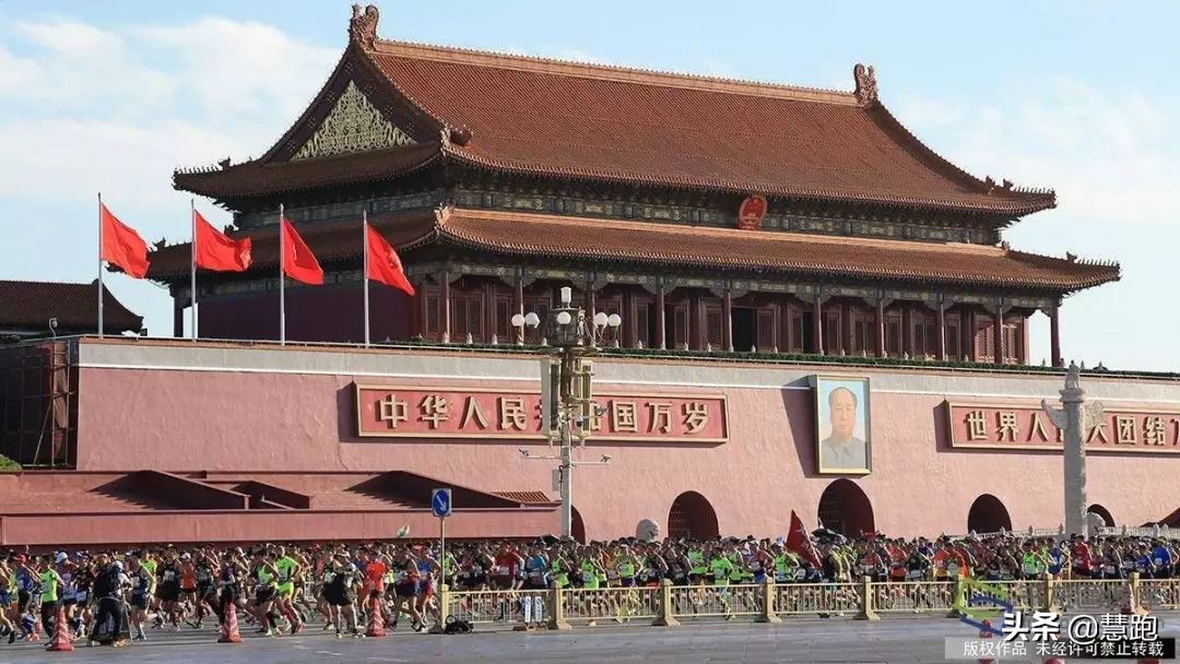 新手跑马每日训练,跑马夏季怎么训练