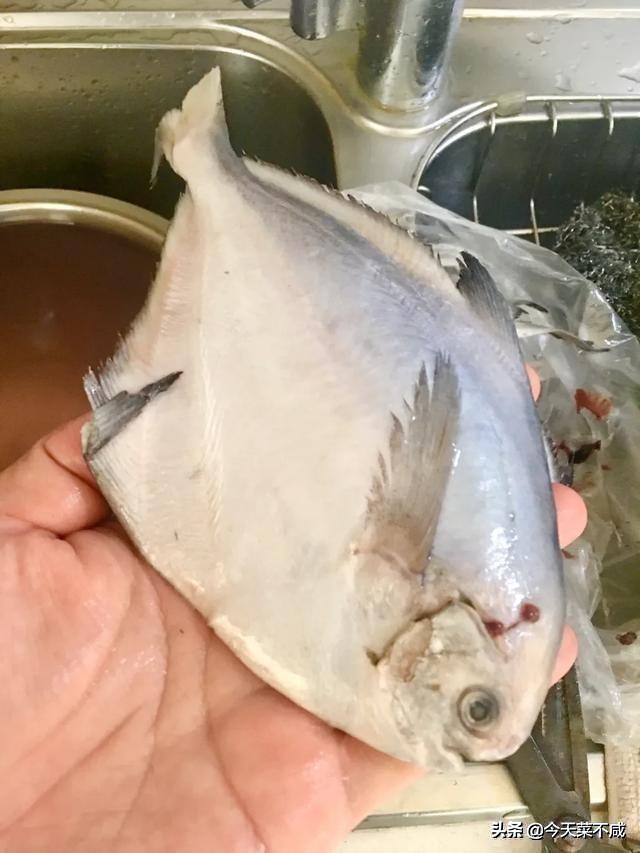 饭店大厨做平鱼最好吃的做法,美食平鱼的制作