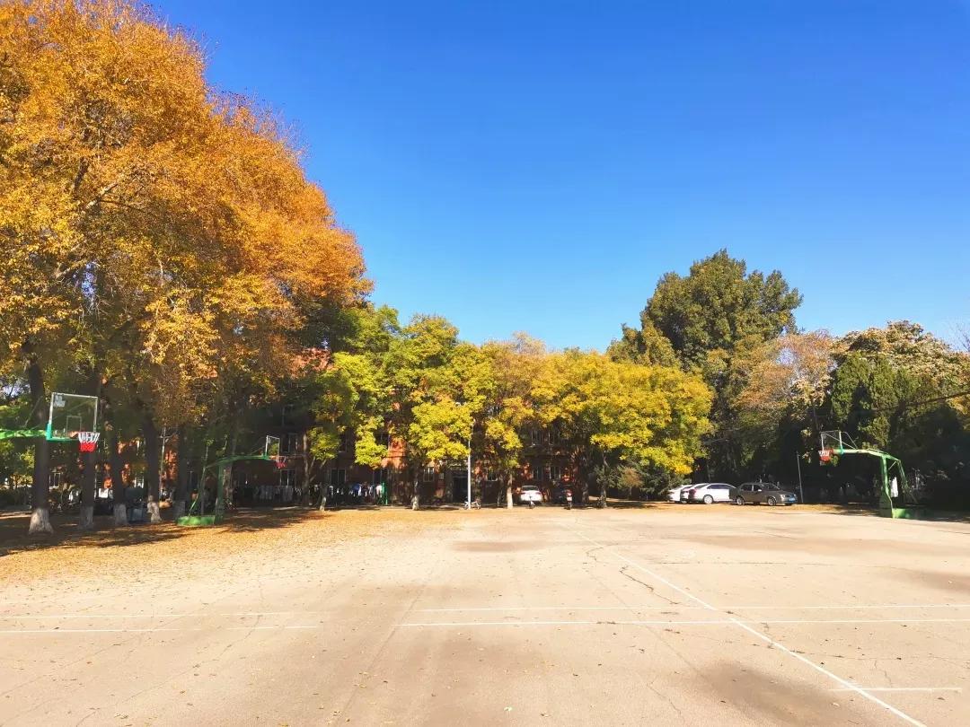 辽宁工程技术大学辽宁省分数线,辽宁工程技术大学在辽宁省排名