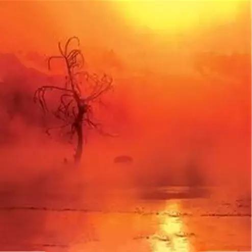 背下的十首宋词,十首宋词道尽人生